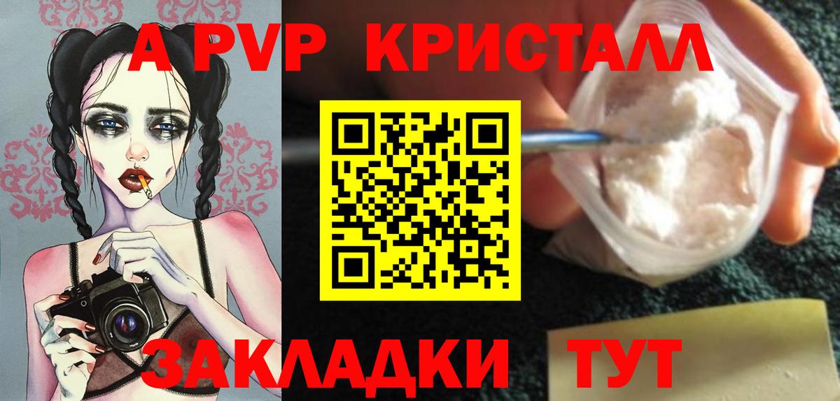 A PVP СК КРИС Коряжма