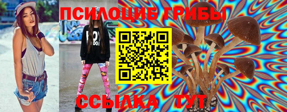 Галлюциногенные грибы ЛСД Коряжма