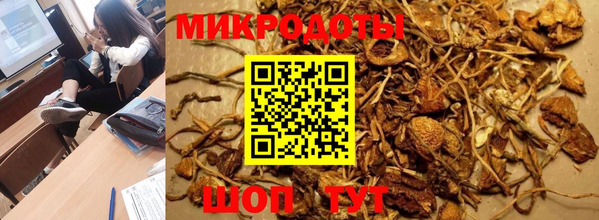 Коряжма  где купить   Вход с VPN  Галлюциногенные грибы Psilocybine cubensis 